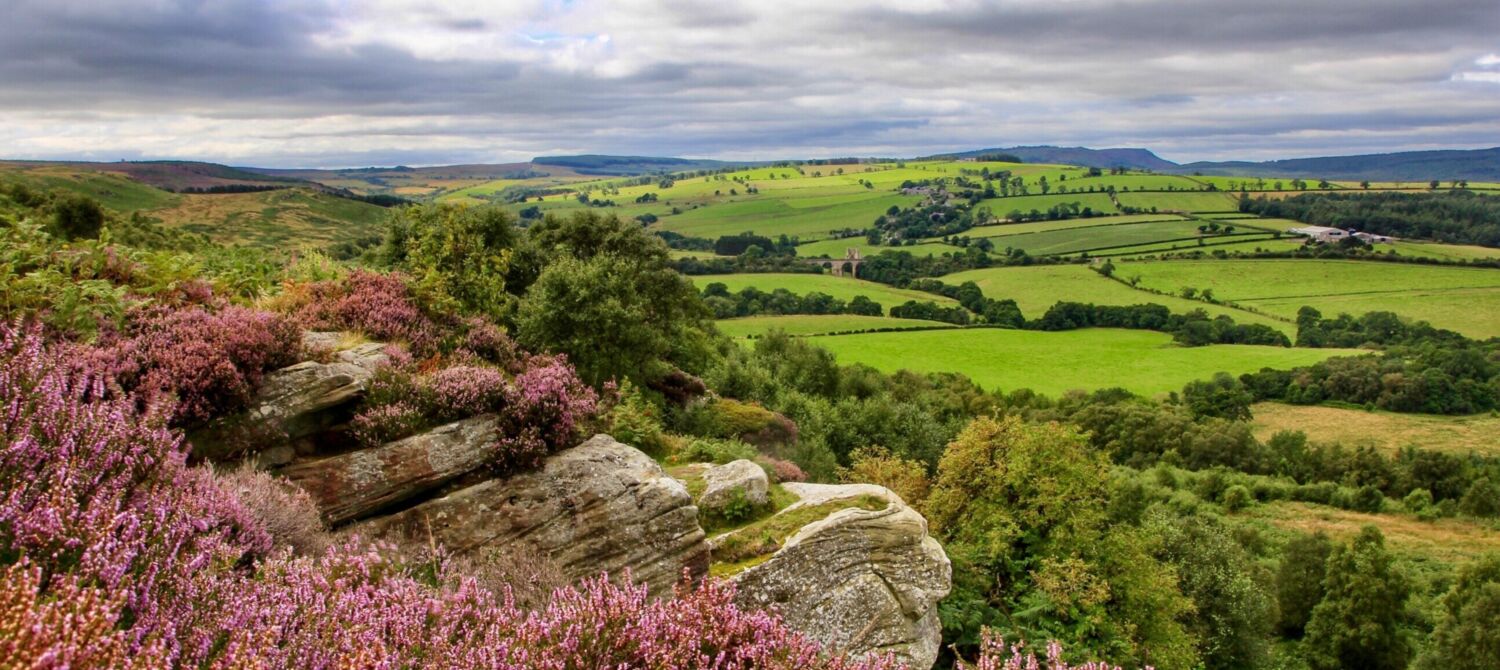Northumberland landscape